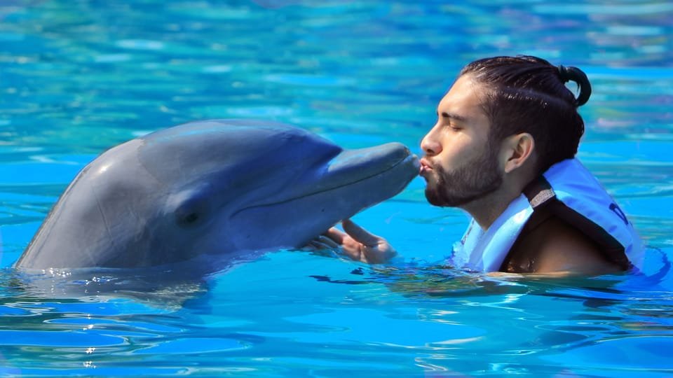 Punta Cana: Dolphin Discovery Swims and Encounters - Image 4