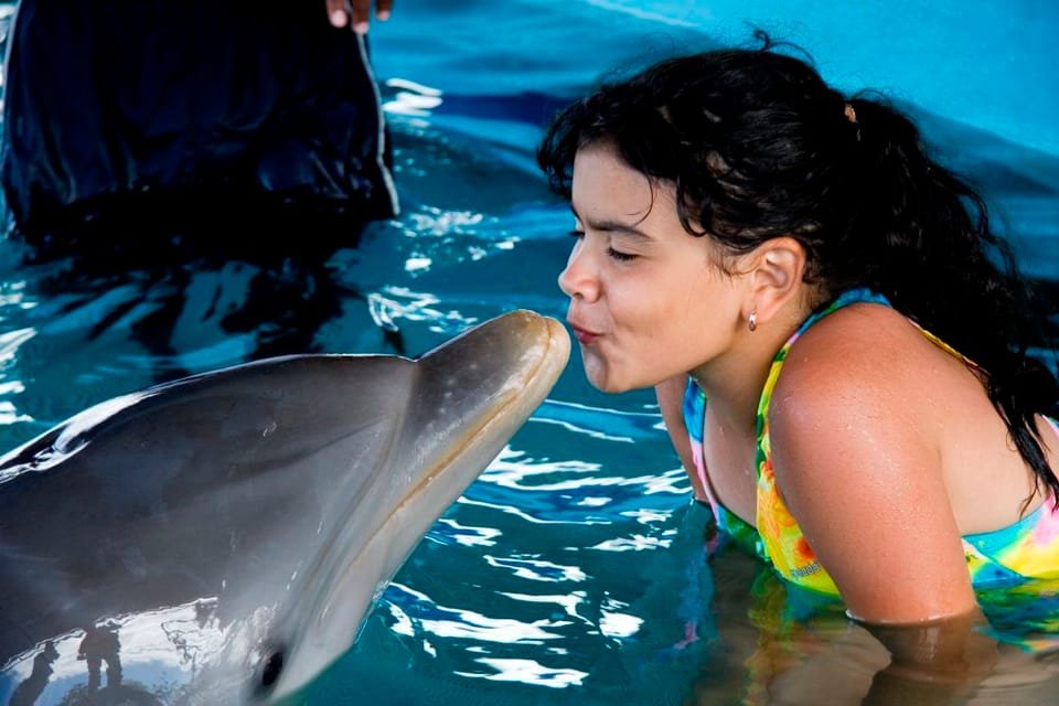 Dolphin Encounter at Ocean World, Puerto Plata - Image 3