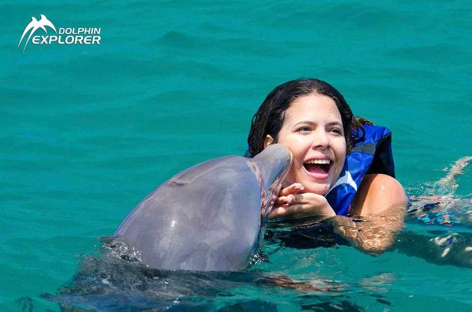 Swim with Dolphins in Punta Cana - Image 2
