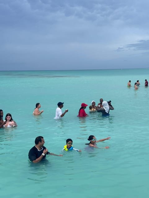 Explora la Experiencia: Tours de Punta Cana a Isla Saona - Image 3