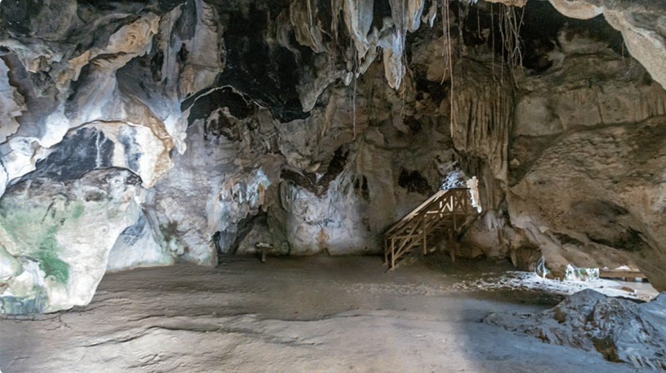 Los Haitises 4 Caves expedition & Rain Forest walk - Image 3