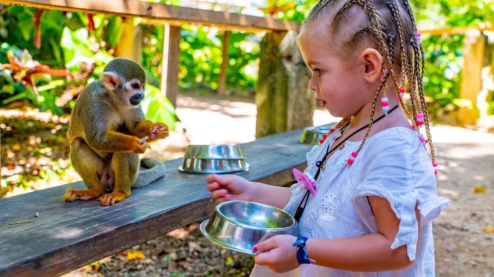 From Bayahibe: Half Day Monkeyland Safari - Image 3