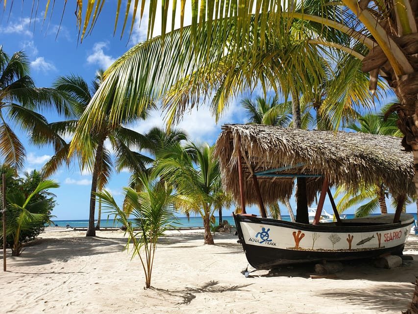 Punta Cana: Boat Tour to Isla Saona, Open Bar & Buffet Lunch - Image 12