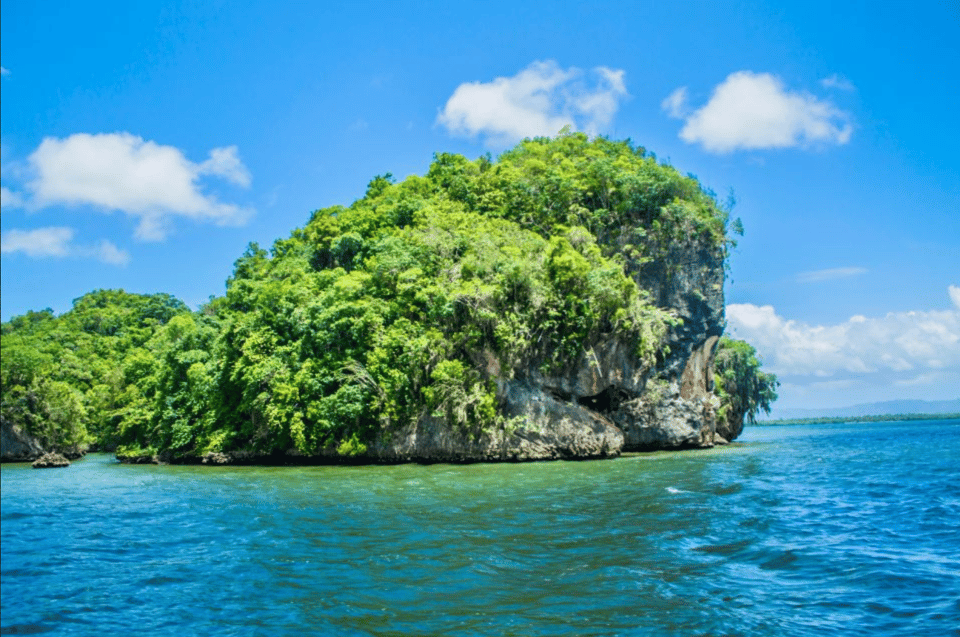 Los Haitises 4 Caves expedition & Rain Forest walk - Image 12