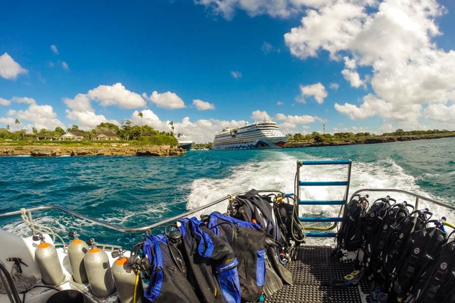 Punta Cana: Full-Day Snorkeling Tour to Catalina Island - Image 11