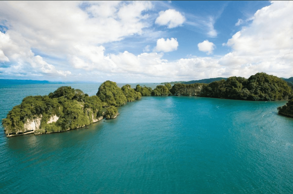 Los Haitises 4 Caves expedition & Rain Forest walk - Image 2
