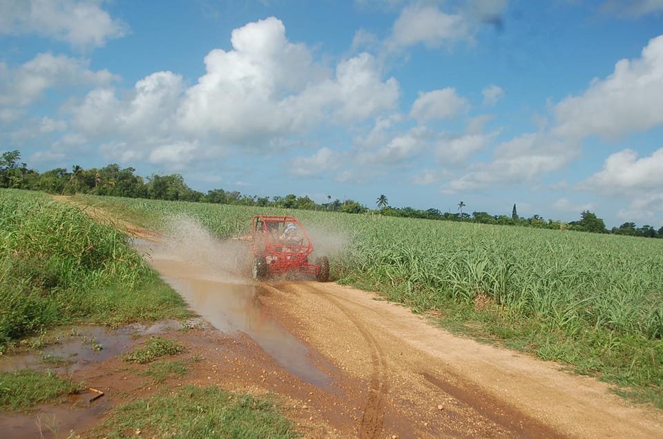 From Bayahibe: Half-day La Romana ATV or 4X4 Buggy Tour - Image 22