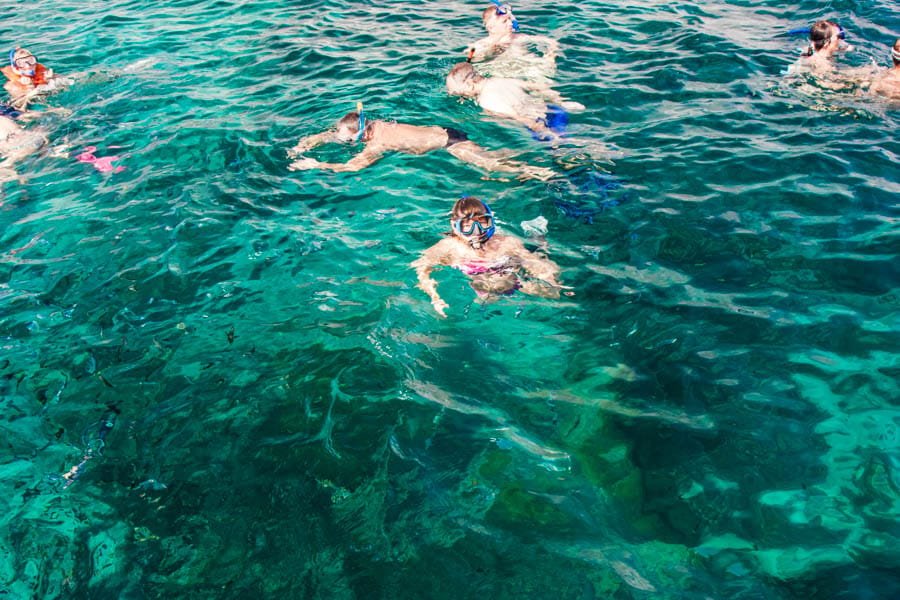 Punta Cana: Full-Day Snorkeling Tour to Catalina Island - Image 12
