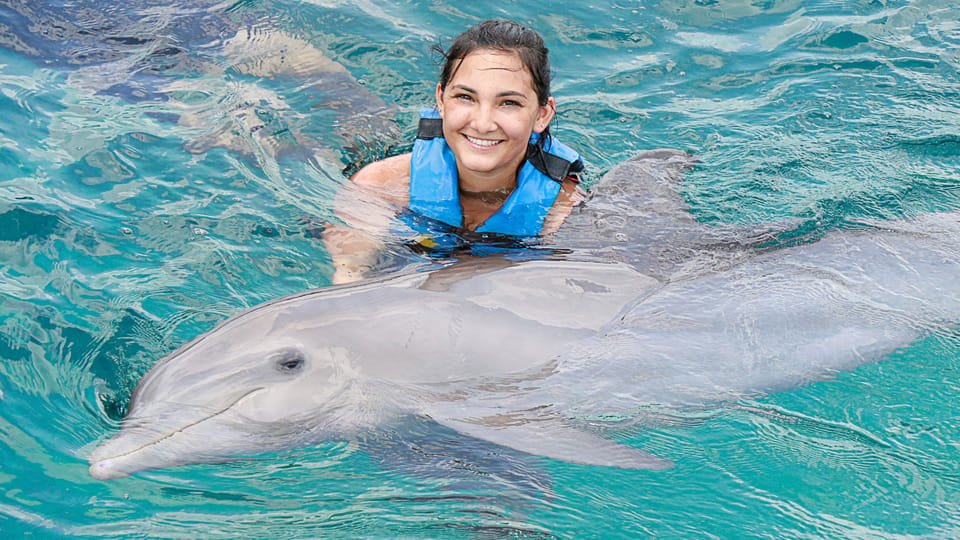 Punta Cana: Dolphin Discovery Swims and Encounters - Image 15