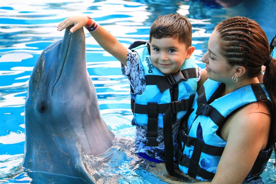 Punta Cana: Dolphin Discovery Swims and Encounters - Image 16