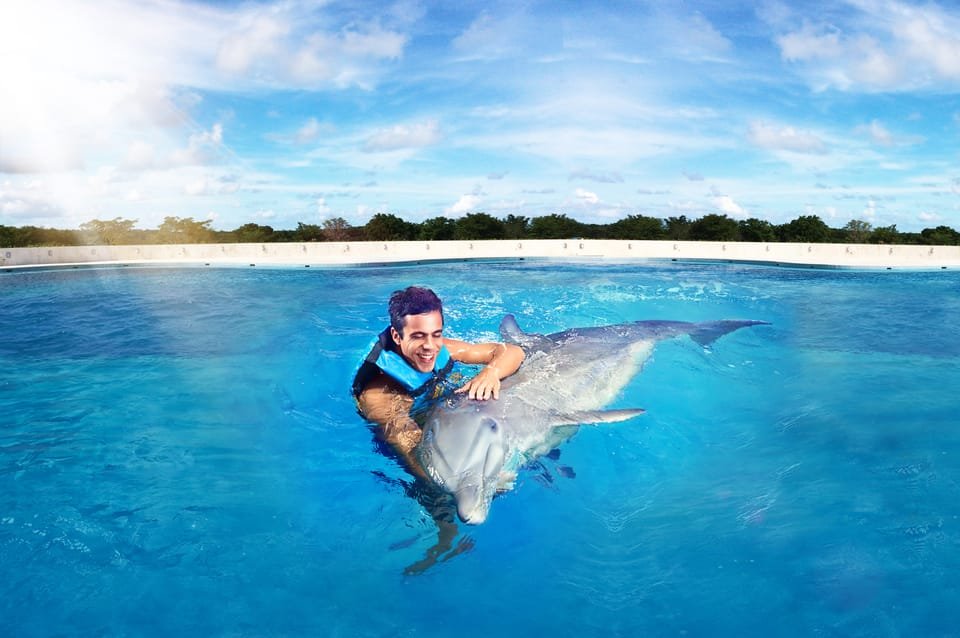 Punta Cana: Dolphin Discovery Swims and Encounters - Image 17