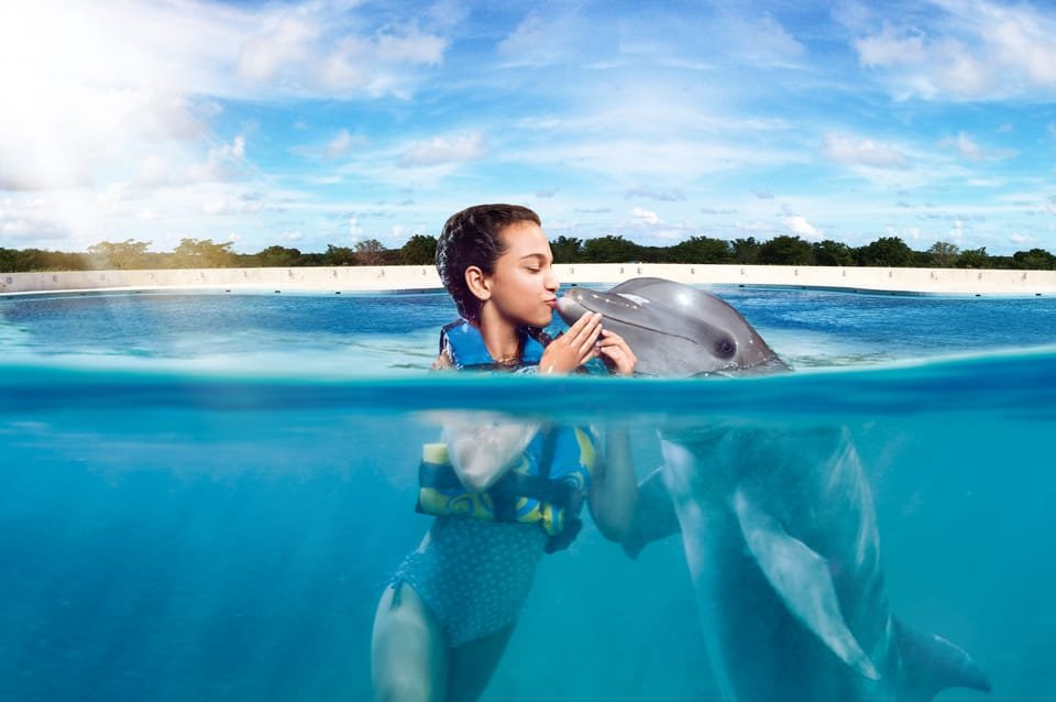Punta Cana: Dolphin Discovery Swims and Encounters - Image 18