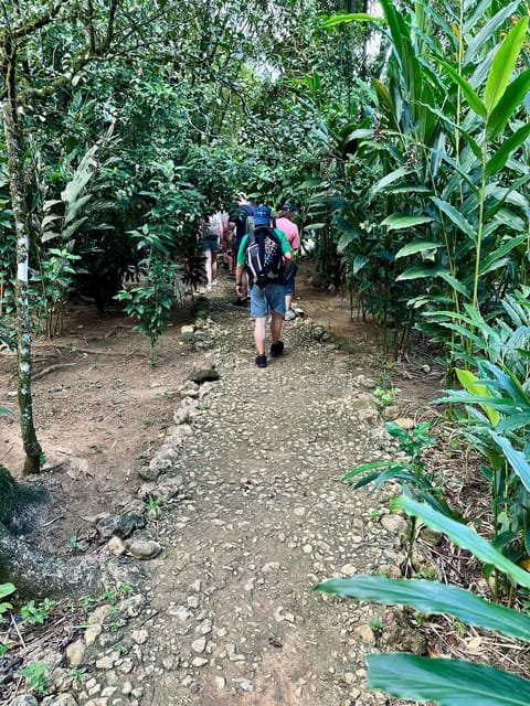3in1: Los Haitises N P + Yanigua Waterfall + Montaña Redonda - Image 17