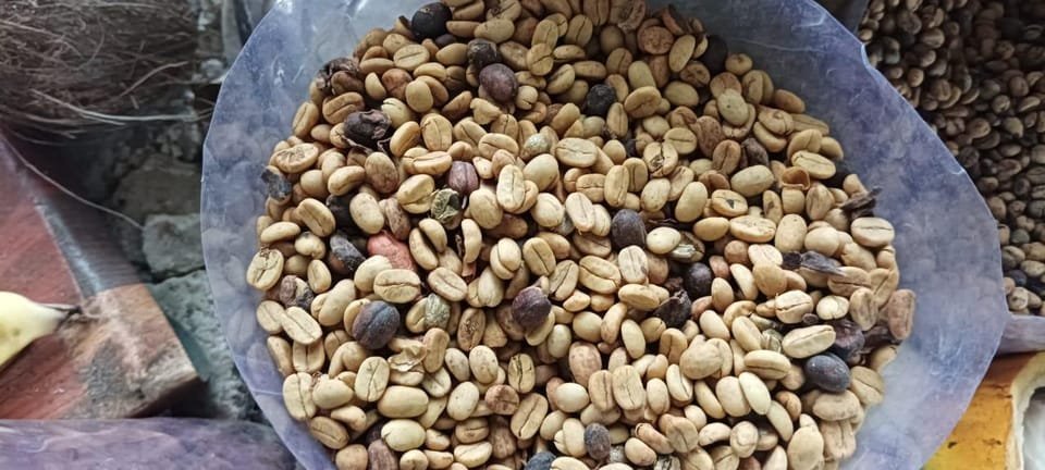 Punta Cana: Higuey, Coffee and Cocoa Tasting Tour with Lunch - Image 18