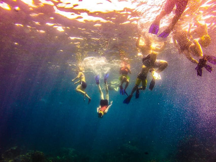 Punta Cana: Full-Day Snorkeling Tour to Catalina Island - Image 16