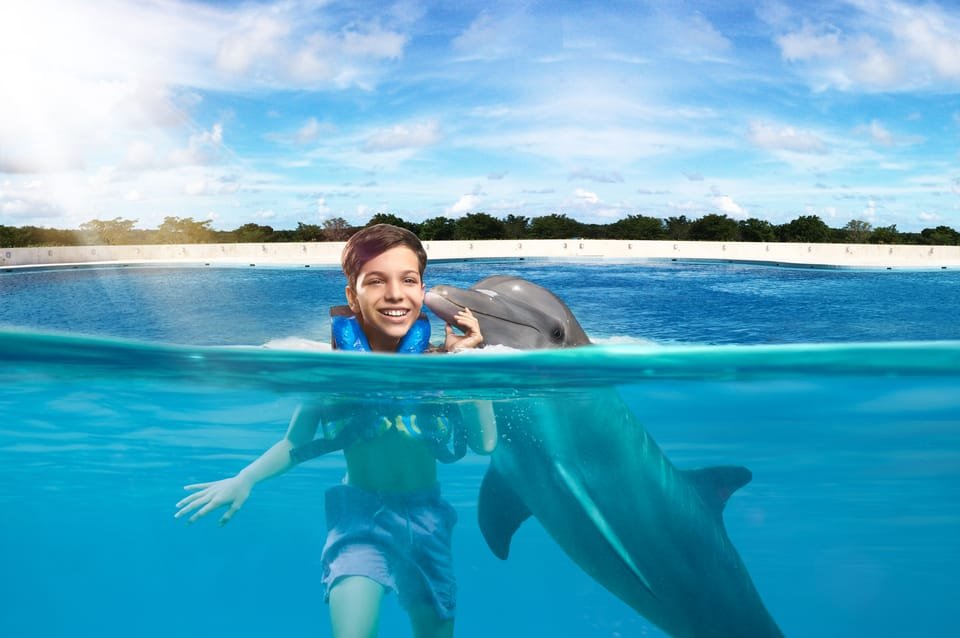 Punta Cana: Dolphin Discovery Swims and Encounters - Image 19