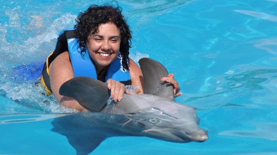 Punta Cana: Dolphin Discovery Swims and Encounters - Image 22