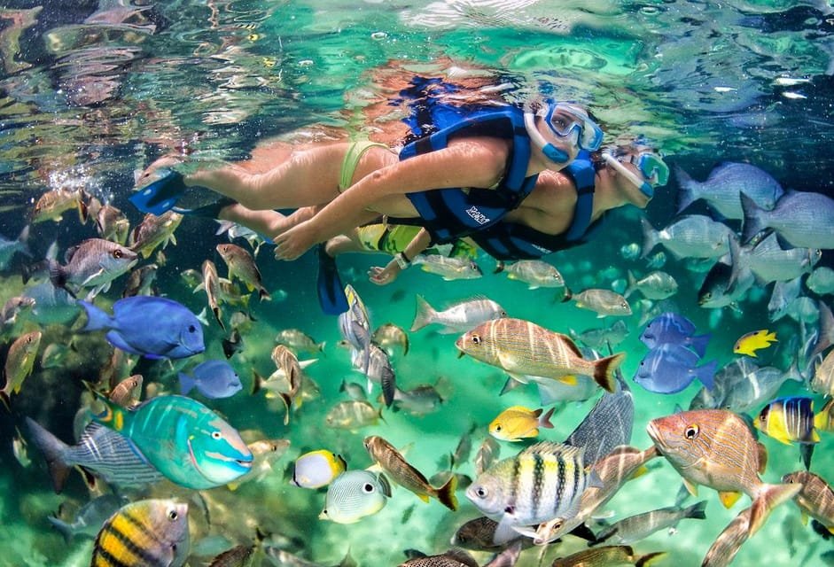 Speed Boat Adventure In Punta Cana - Image 4