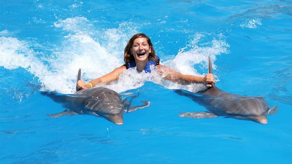 Punta Cana: Dolphin Discovery Swims and Encounters - Image 5
