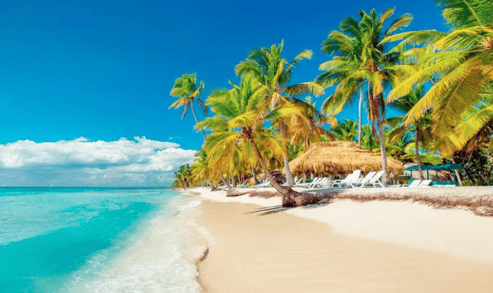 Excursion to Saona Island: Tropical Paradise whit Lunch - Image 13