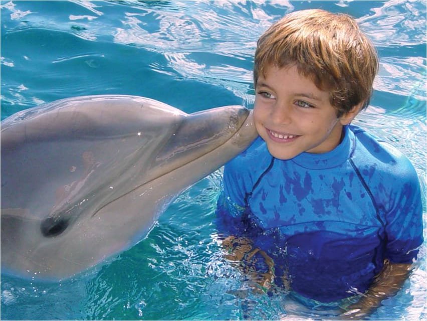 Dolphin Encounter at Ocean World, Puerto Plata - Image 4