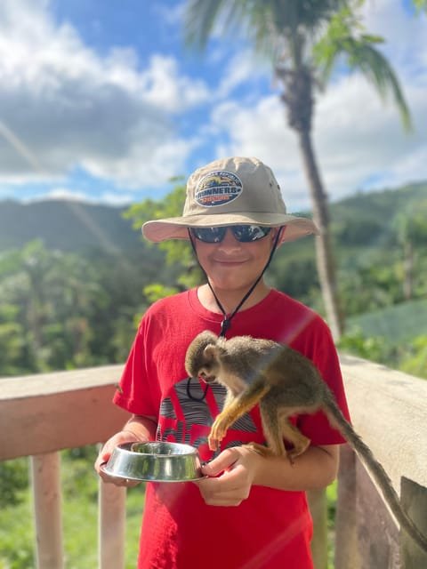 Monkeyland tour + Transportation from cruise/hotel - Image 4