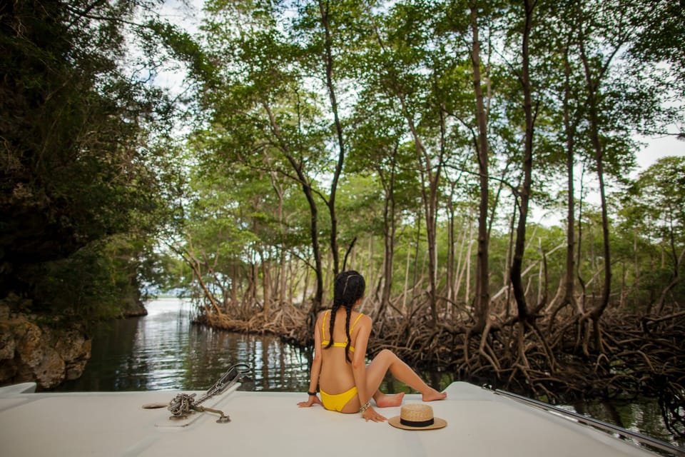 Los Haitises: Boat Tour Sabana de la mar, Caves & Mangroves - Image 4