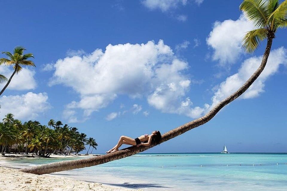 Punta Cana: Saona Island Full-Day Small Groups Tour - Image 4