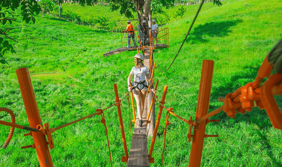 Punta Cana: Half-Day Zipline Tour - Image 5