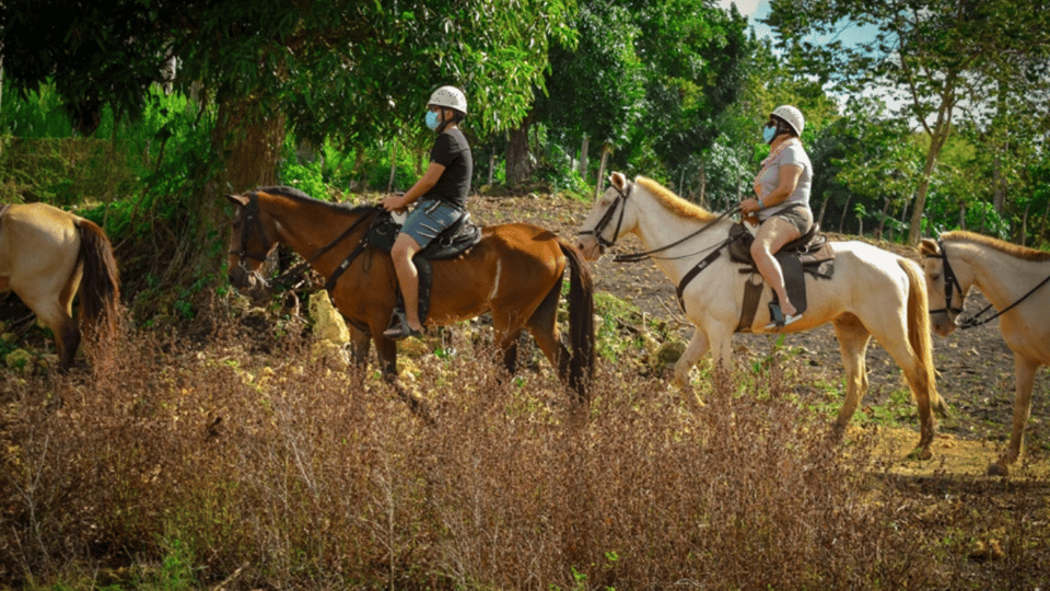 Punta cana: 3 tour zip line, buggy and horse ride. - Image 4