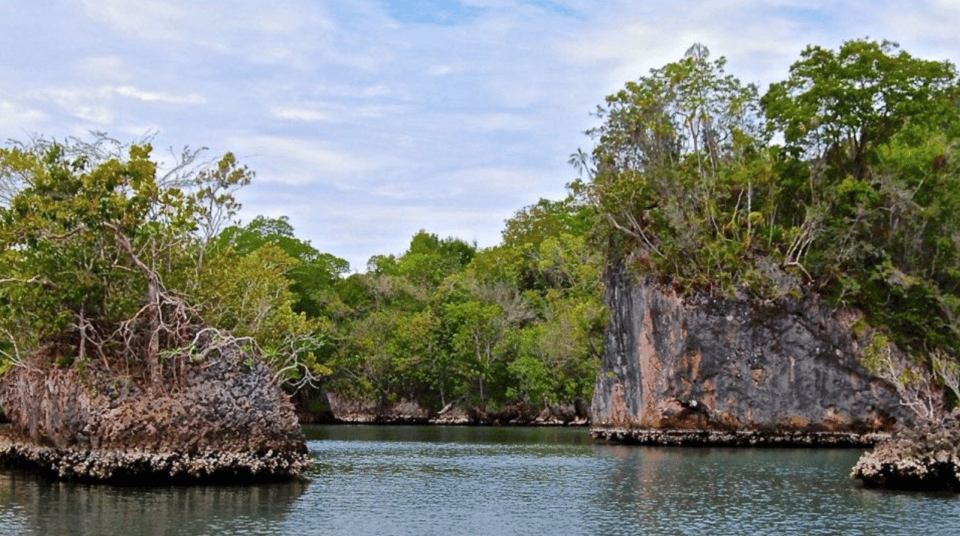 Los Haitises 4 Caves expedition & Rain Forest walk - Image 4