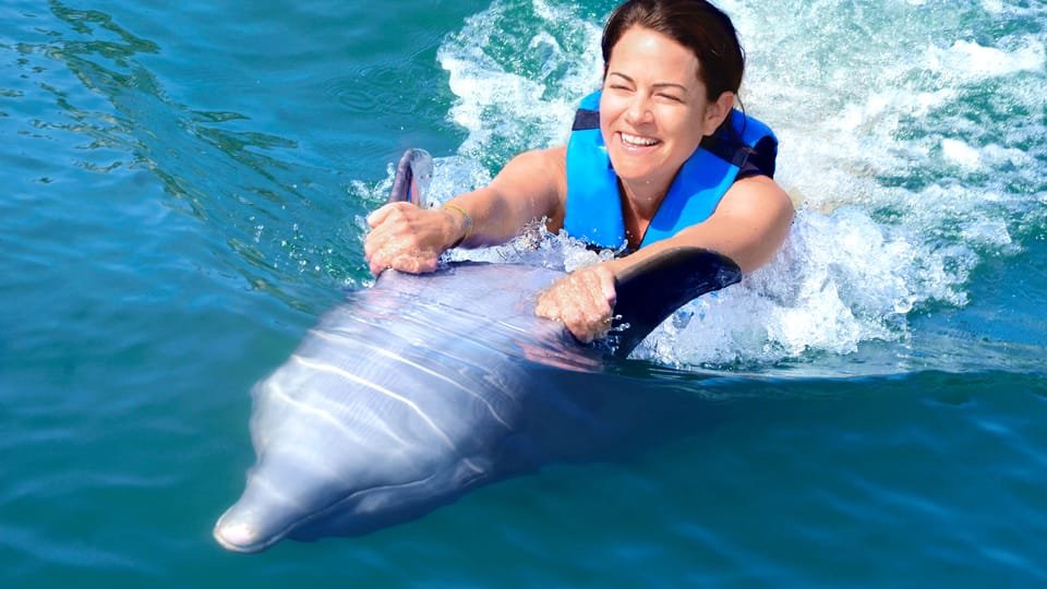 Punta Cana: Dolphin Discovery Swims and Encounters - Image 23