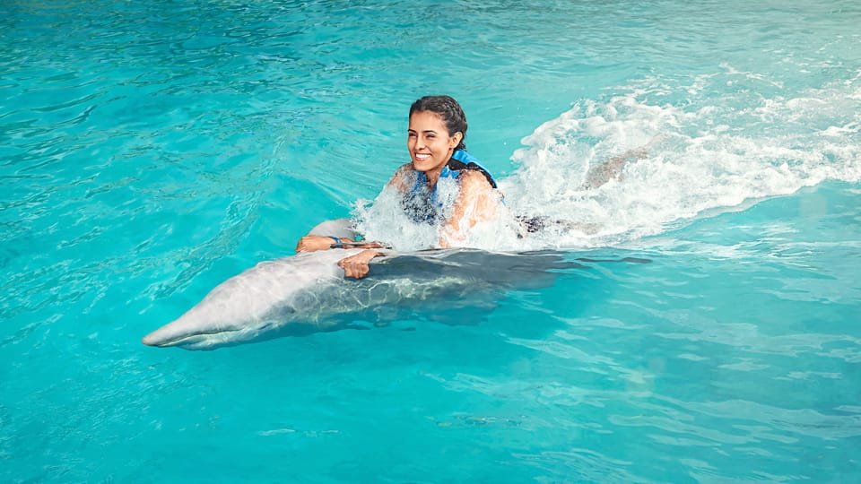 Punta Cana: Dolphin Discovery Swims and Encounters - Image 25