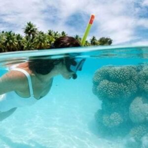 Catalina Island: Day Trip - Best Snorkeling!