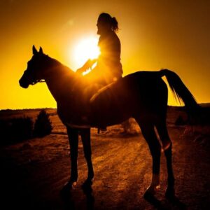 Punta Cana: Sunset Horseback Ride in Macao Beach and Forest