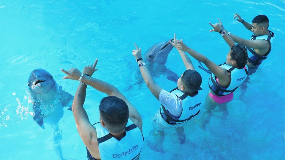 Punta Cana: Dolphin Discovery Swims and Encounters - Image 6