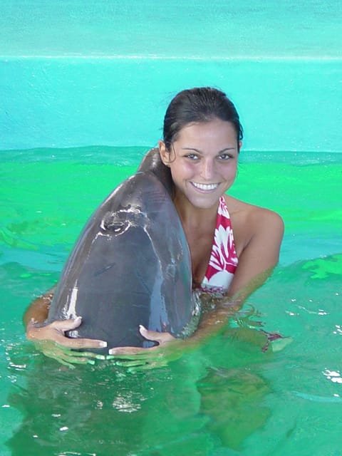 Dolphin Encounter at Ocean World, Puerto Plata - Image 5