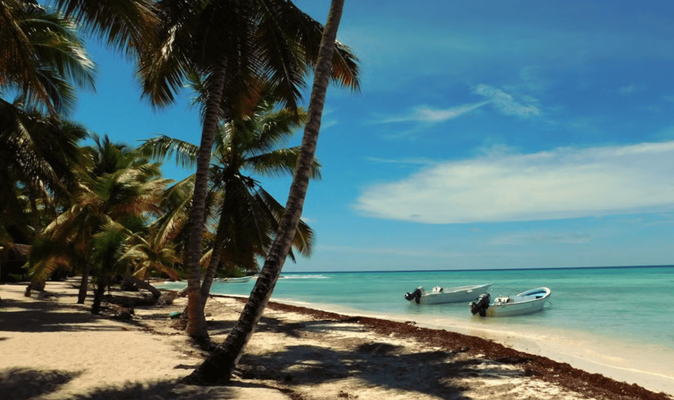 Excursion to Saona Island: Tropical Paradise whit Lunch - Image 12