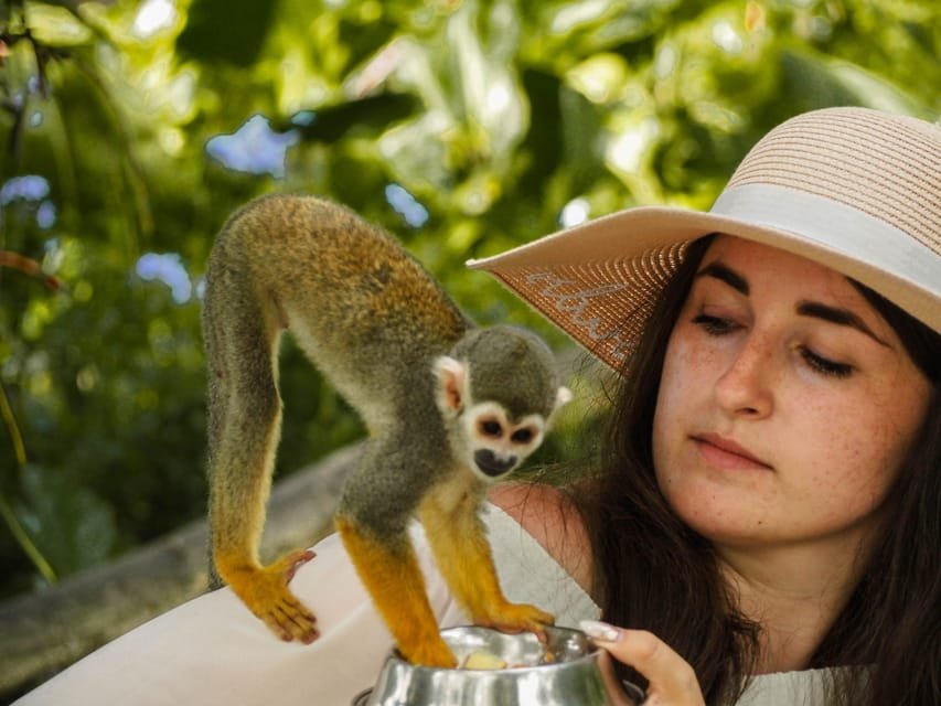Monkeyland tour + Transportation from cruise/hotel - Image 2