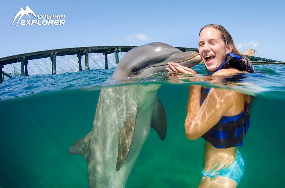 Swim with Dolphins in Punta Cana - Image 4