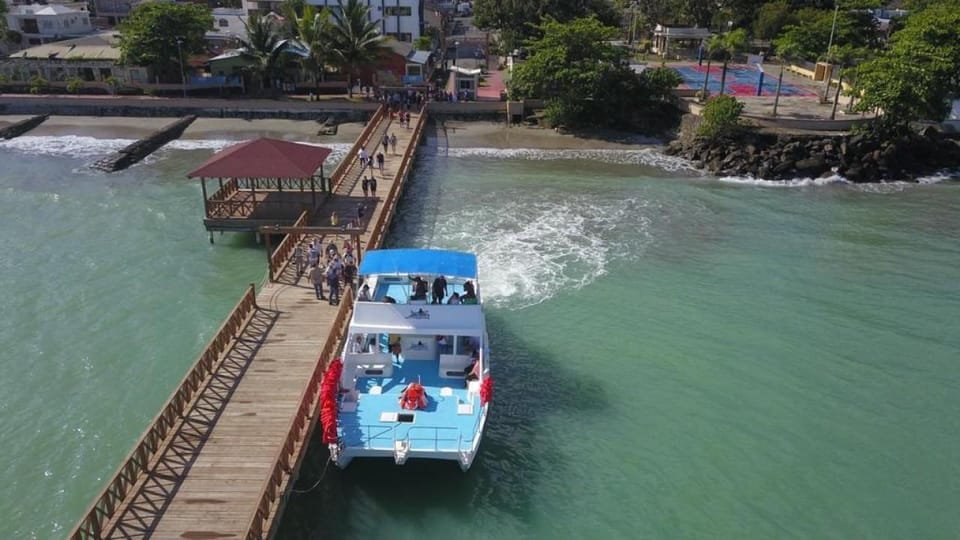 From Punta Cana: Whale Watching and Montana Redonda Tour - Image 5