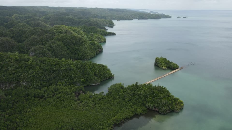 Las Terrenas: Just Los Haitises Boat and Walking Tour - Image 5