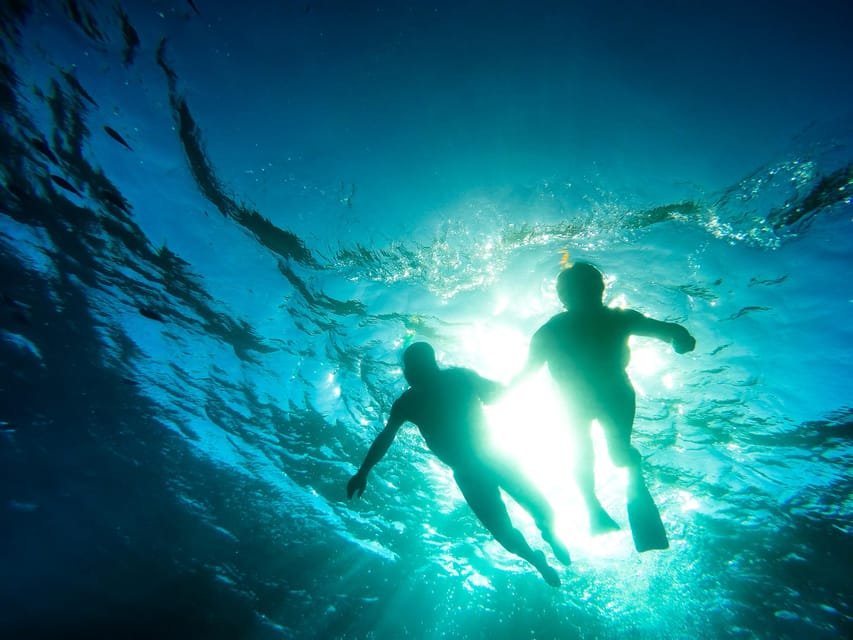 Punta Cana: Catalina Island Scuba Diving Day Trip - Image 5