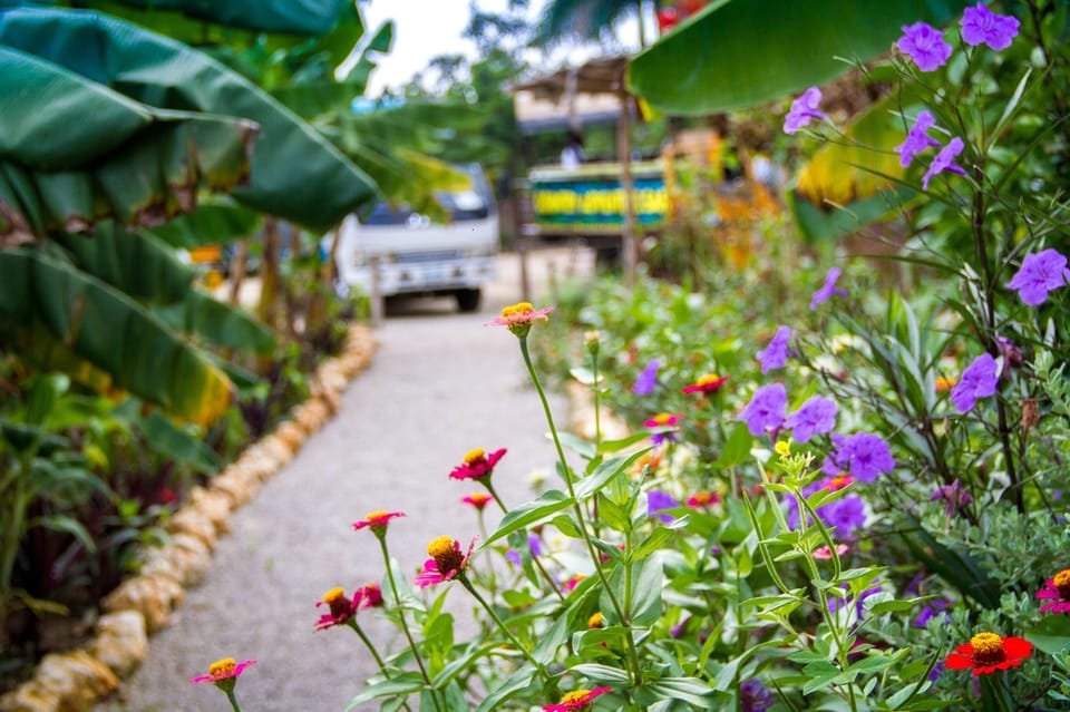 Dominican Countryside: Half-Day Tour - Image 5