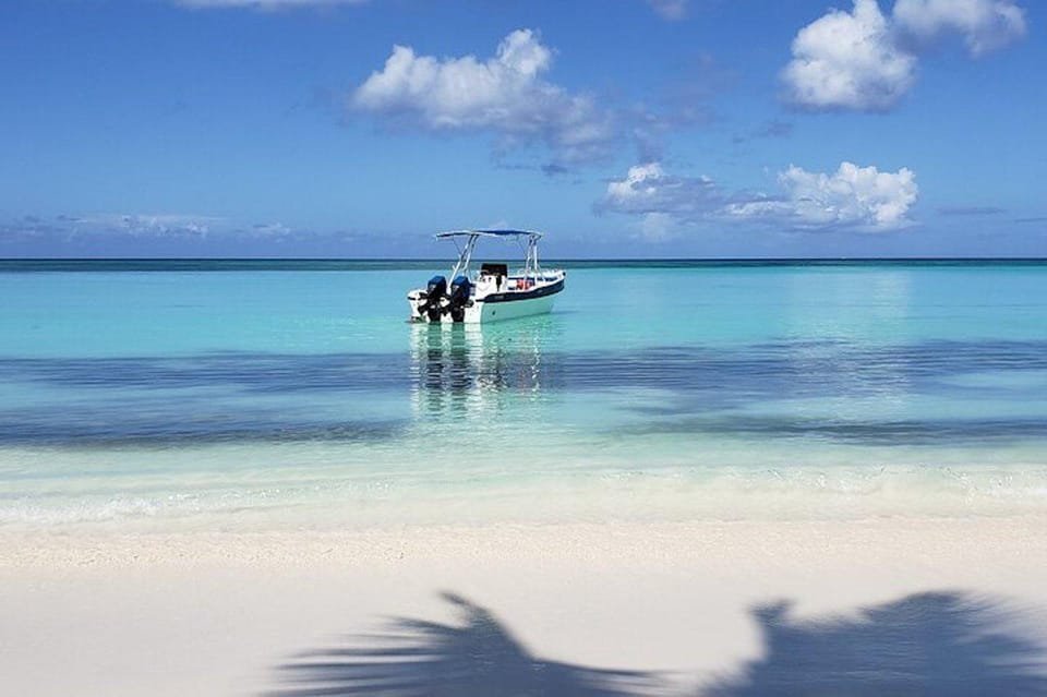 Punta Cana: Saona Island Full-Day Small Groups Tour - Image 5