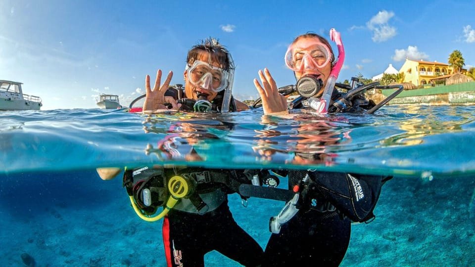 Catalina Island Tour with Snorkelling and Lunch - Image 5