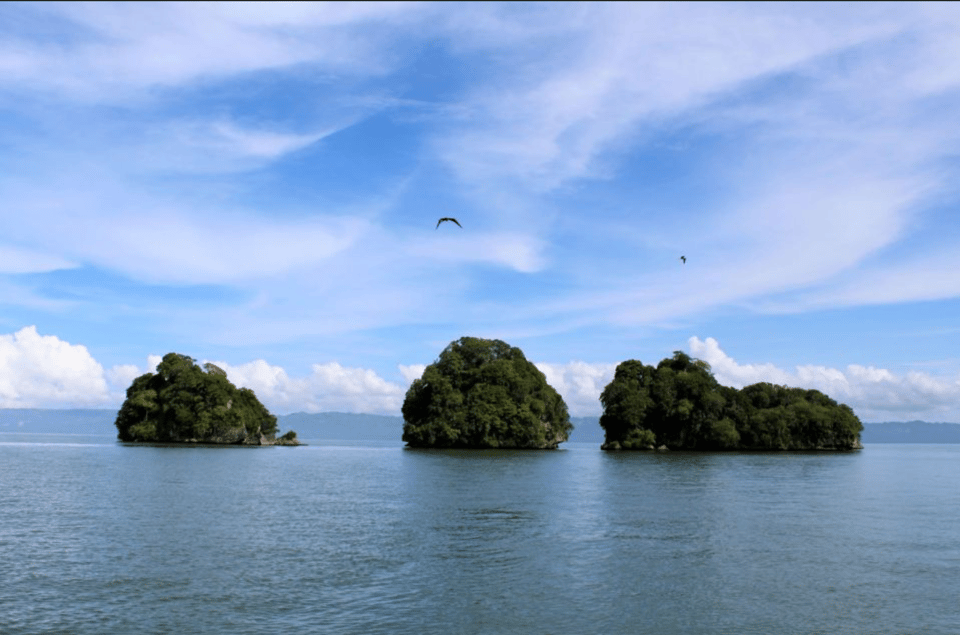 Las Terrenas: Just Los Haitises Boat and Walking Tour - Image 12