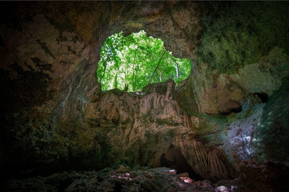 3in1: Los Haitises N P + Yanigua Waterfall + Montaña Redonda - Image 32