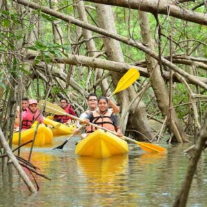 Los Haitises All One: Kayaking, Hiking, Boat, and Swimming