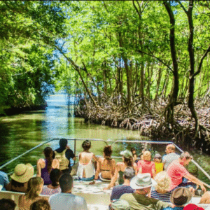 3in1 Fullday Los Haitises & Waterfal SPA from Punta Cana